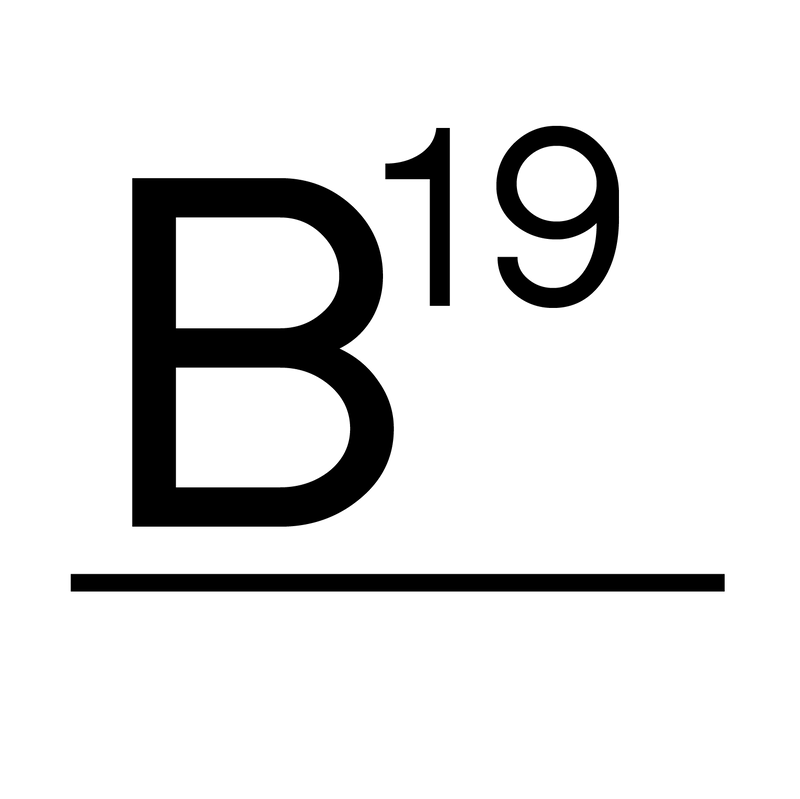 B19