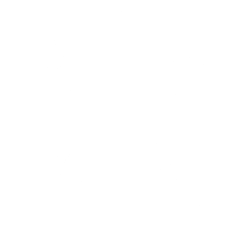 B19