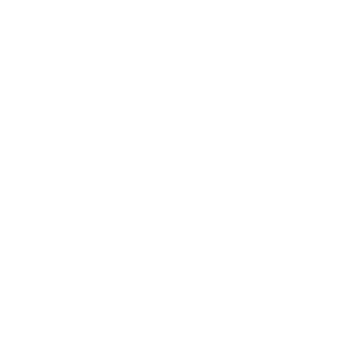 B19