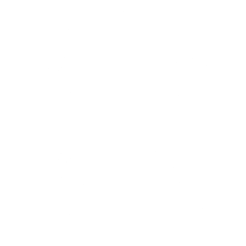 B19