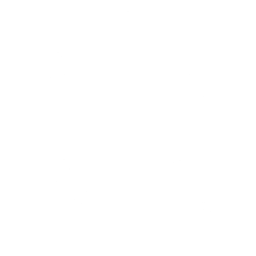 C2