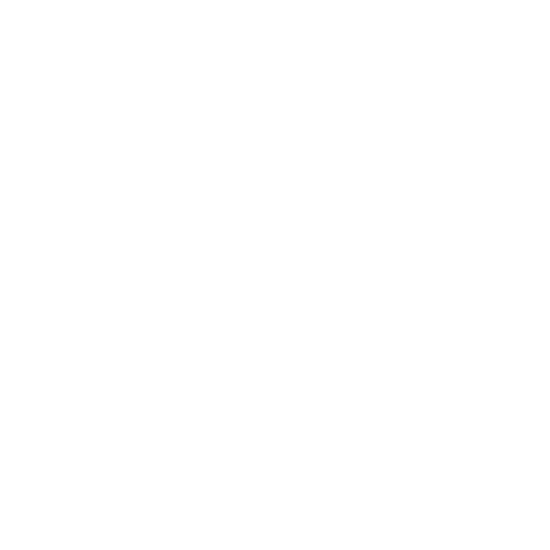 C2