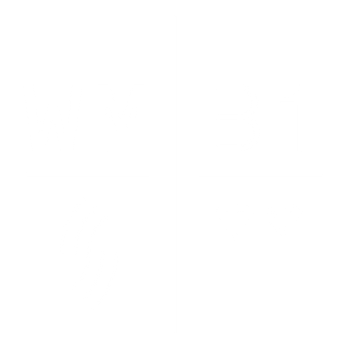 B1