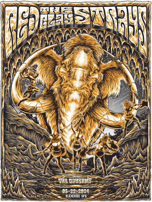 D29 | Red Clay Strays The Caverns Tn Show2