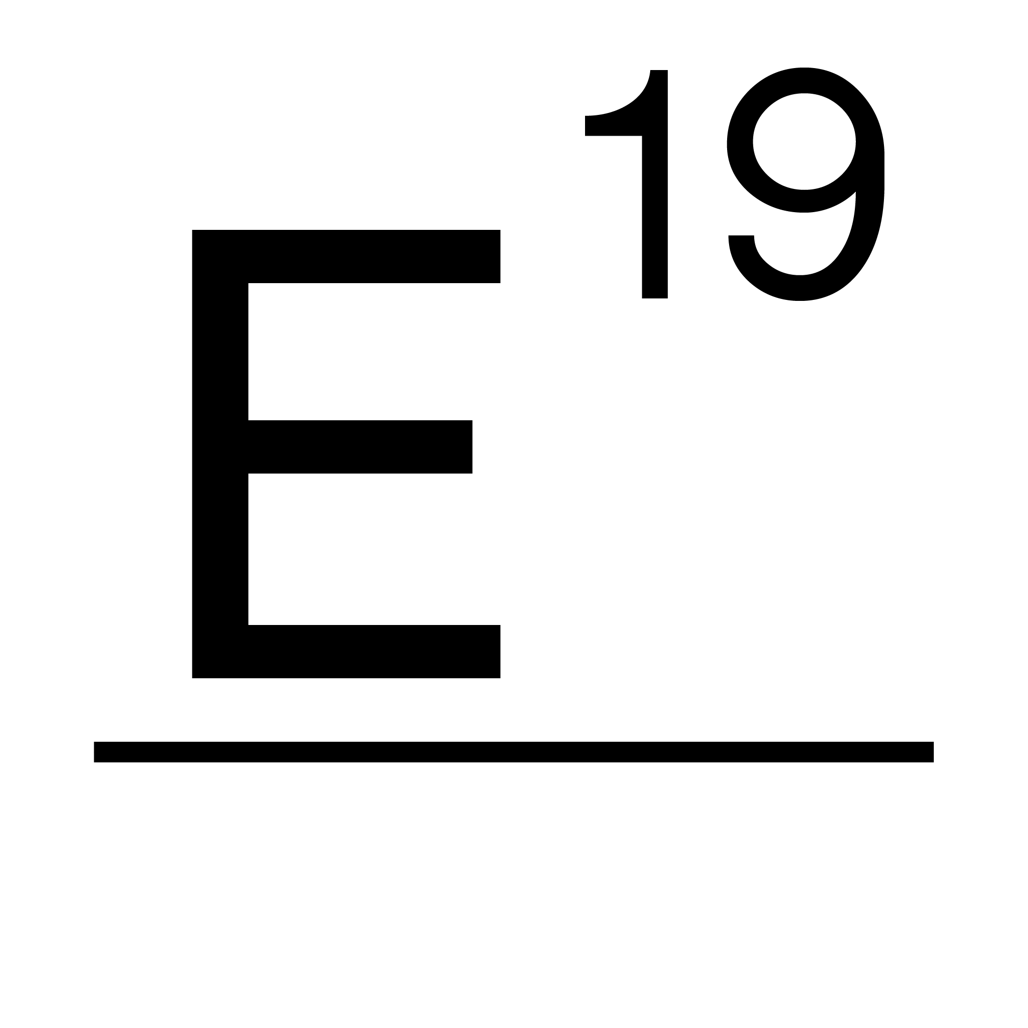 E19